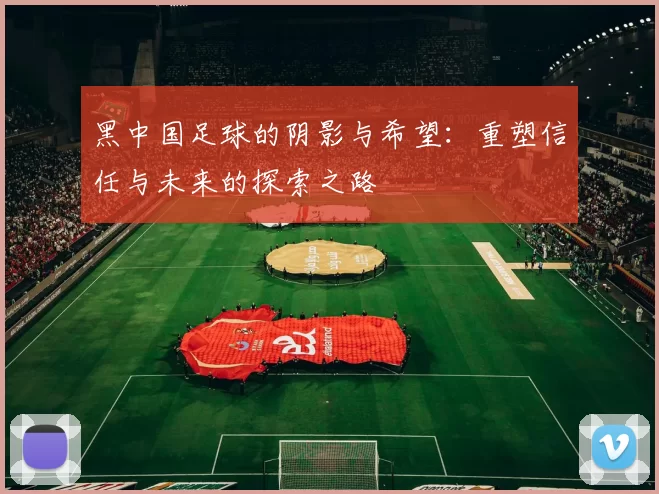 黑中国足球的阴影与希望：重塑信任与未来的探索之路