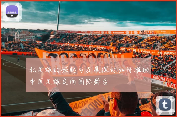 北足球的崛起与发展探讨如何推动中国足球走向国际舞台